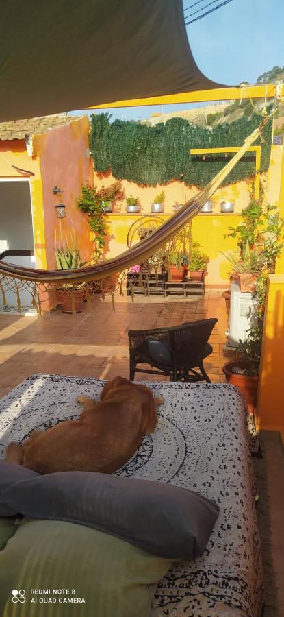 La Casita De Celia Apartment Alicante Exterior photo